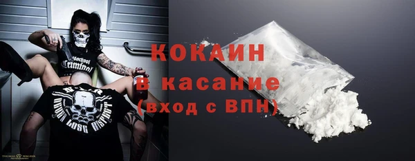 сатива Аркадак