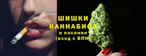 сатива Аркадак