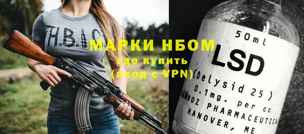 сатива Аркадак