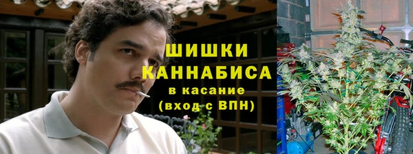 сатива Аркадак