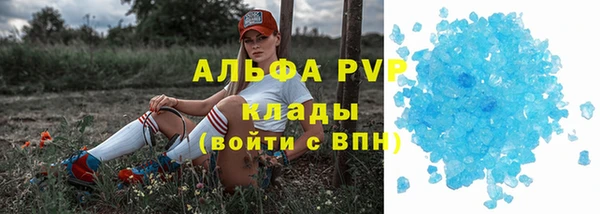 молекула духа Таштагол