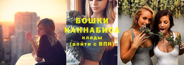 сатива Аркадак