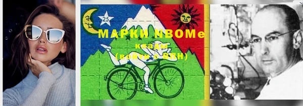 сатива Аркадак